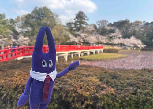 お花見に行ってきました。春の行事と聞いてネクタイを締めて行きましたがラフな格好で良かったようです笑