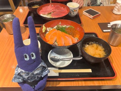 サーモン丼です。魚、最高です…！