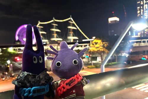 応援のため紫ピクミンさんと横浜です。
写真は角で隠れてしまいましたが夜の観覧車と船のライトアップがとても素敵でした！