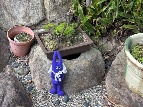 昔はししおどしがあったそうです。