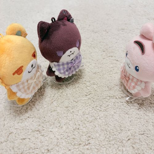 うちに来たからには、みんなスタイを付けていただく🍴