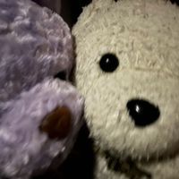 れいか