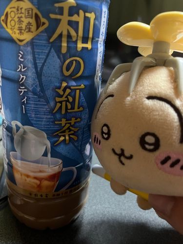 このミルクティー、すごく美味しいのでミルクティー好きな方は是非…！！
このうさぎのぬいちゃんお気に入り♡