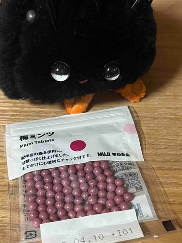 梅のお菓子です
おいしかったのでかばんに入れておきます