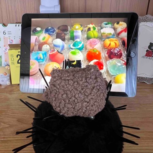 和菓子作りの見学中です
へびの上生菓子がきにいりました！