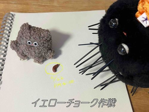 環境美化活動の一環です