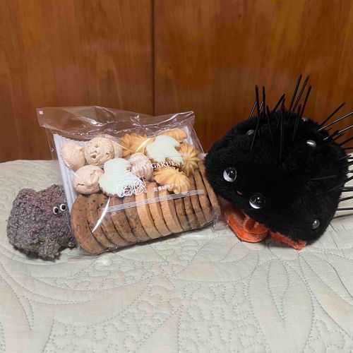 投票に行ってクッキーを買いました
