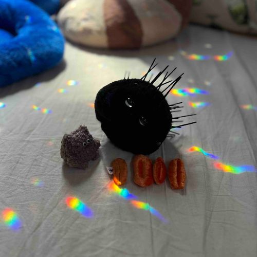 今朝の様子です
太陽をたくさん取り入れました