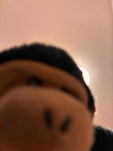 じっ........