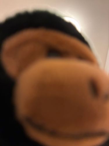 どうやらカメラに興味津々のようだ....！さっきから距離が....近い....