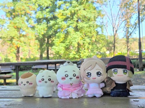 広い公園が無料ってんでみんなで歩きに来たッス🎶🥳
暑いけど秋風が気持ちいいッスね🍃☀️
ちっちゃい秋もでっかい秋もつかまえてくるッスよ‼️😆✊