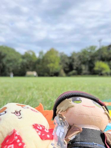 天気のいい日に芝生で昼寝してきたッスよ🎶😌💤
ちょっと強い日差しと心地いい風で、ずっとここにいたかったッス‼️🍃😸写真は雲が多いんスけど、流れが早くていい青空だったッス‼️🌼☀️