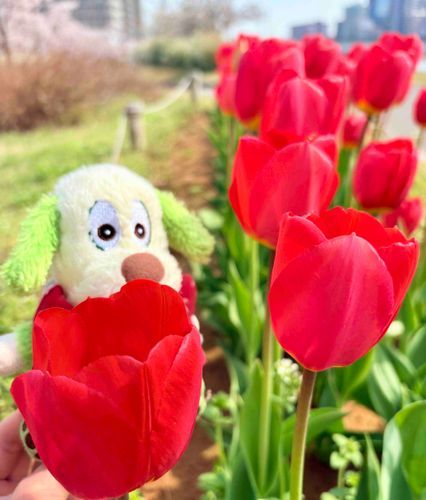 くんくん⸜🌷︎⸝‍