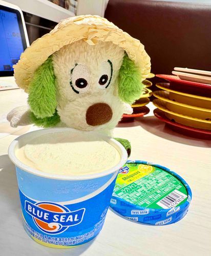 初めてたべた！苦くないシークワーサーでおいしー！