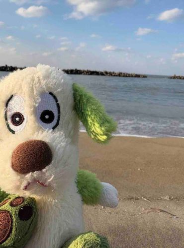 この間海に行ったときのお写真📸