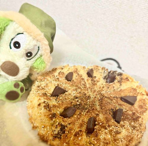 おさとう入れ忘れたんだって🍨🌱