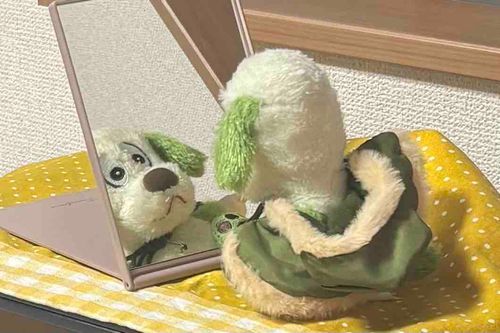 新しいかがみを買ったよ🪞本来の肌色をうつすんだって！