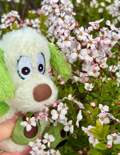 くんくん