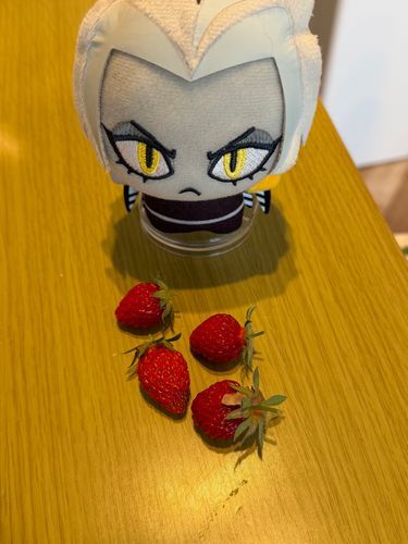 あまいろは🍓
収穫しました