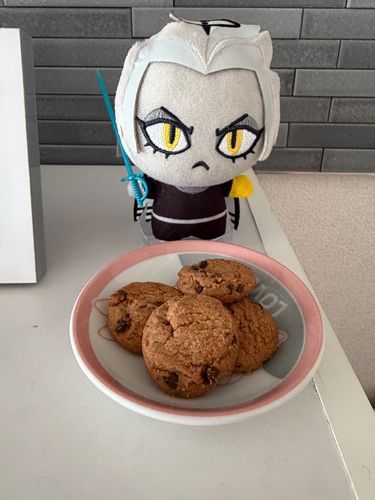 お昼はクッキーをもらいました🍪
