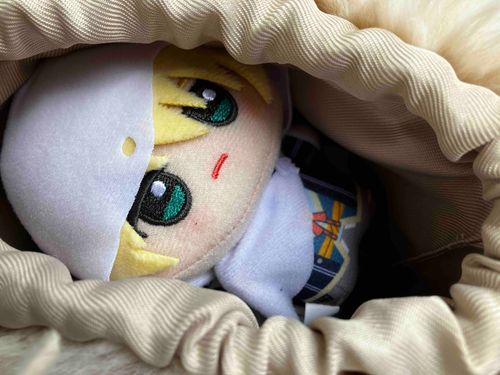 新入りだ。よろしくたのむ