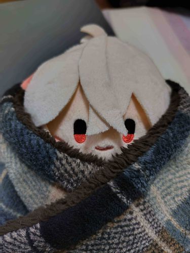 少しあついでござる。