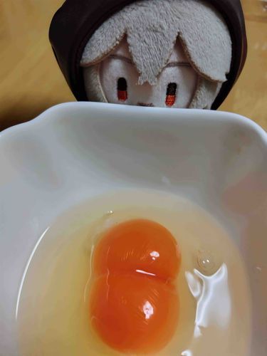 たまごさんが双子だったでござるよ