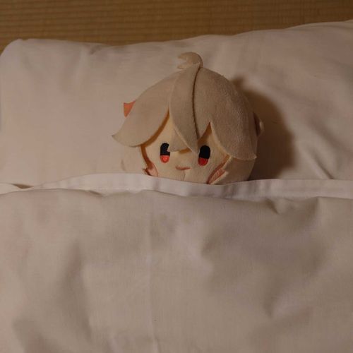 久しぶりでござる。布団の中から失礼するでござる。