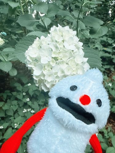 同じ色だね