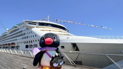 ⛴️☀️
