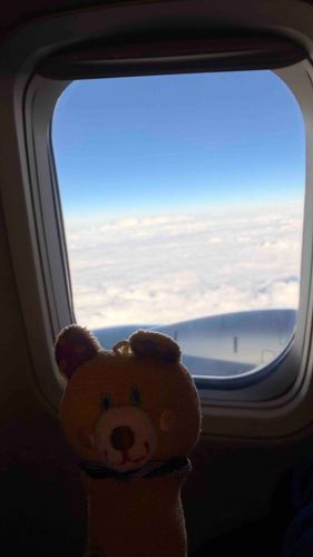 まめおです♪この間初めてひこうきにのりました！くもの上はいつも晴れてるみたいてす🌞