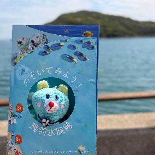 おでかけしました🐠🦦
