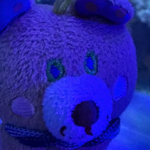 まめおは青い光でミステリアスになります😌
