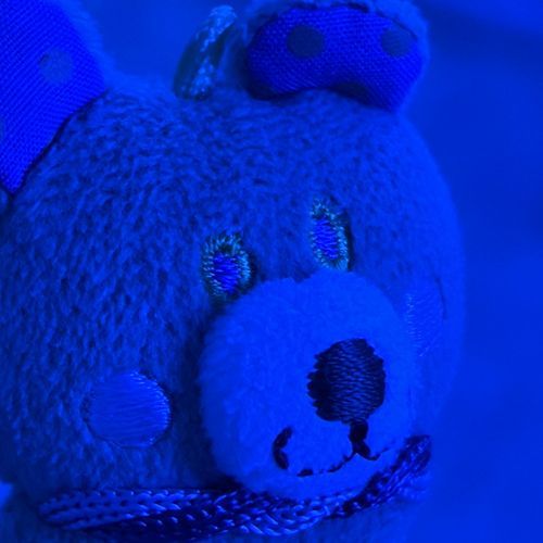 ミステリアスなまめおシリーズ🫘