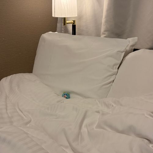 おおきなベッドひとりじめです🛏️