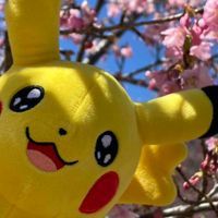ずんどう