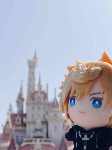 ザルディン探しに来た