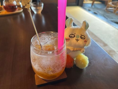 自家製うめジュース
おいしすぎだよぉぉぉ

果肉たっぷりだった