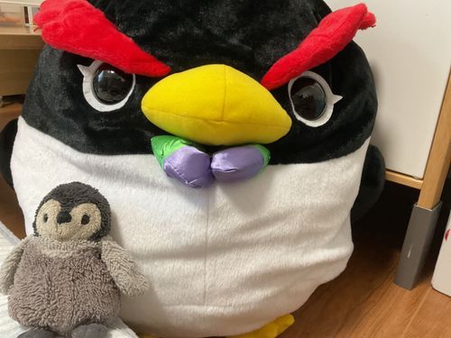 大きいペンギンさん！何倍だろ〜( *¯ ꒳¯*)