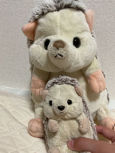 でけぇはりただ！！