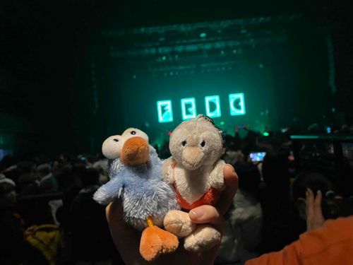 LIVEにいったよー！