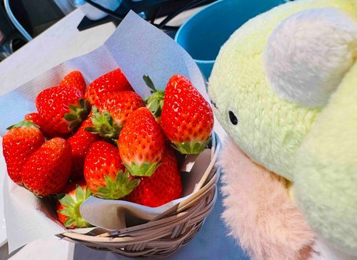 ぷう！ぷう！(いちごたくさん食べようね、ばぶちゃん🍓)