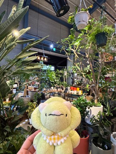 ばぁぶー！(緑がたくさんで気持ちがいいね、ばぶちゃん)