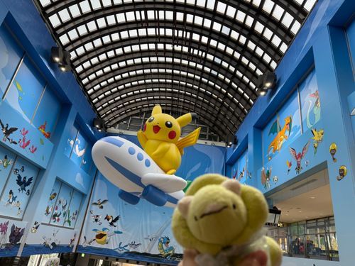 ぷぅぷ！ばぁぶ！(ポケモンウィズユー空港✈️にあそびにきたよ！ポケモンがたくさんだね！)