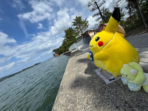 ばぁぷ！ぷう！(おにいちゃんピカちゃんと一緒に能登の海を見てきたよ🌊まだ震災の跡があったけど、とてもいい所だからまた元気になってほしいね、ばぶちゃん)