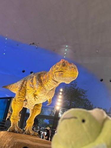 ばっあぶ！(恐竜だ！恐竜博物館🦕🦖にきたよばぶちゃん)