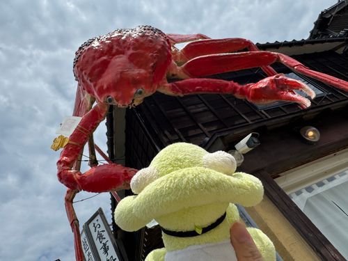 ばぁーぶー？！？！🦀(でっかい蟹さんだ！！！)