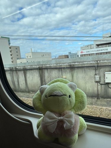 ぷぷ！(久しぶり！おでけけだよ🚅)