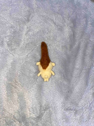 うらがわ、こんなかんじ、
はずかしいからひみつね