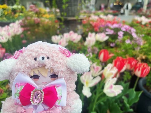 🌷🌷🌷